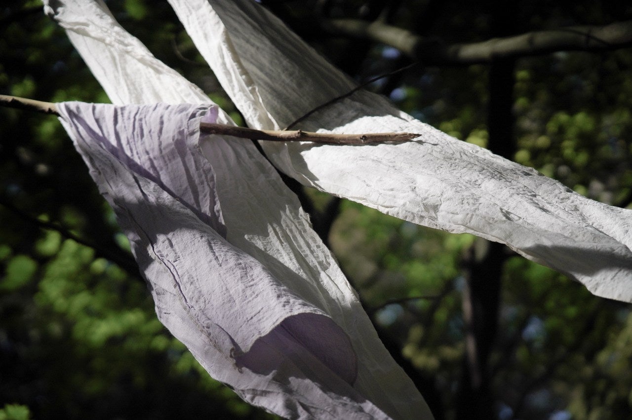 How Sömn Home Online Bedding Store Measures Up Our First Environmenta