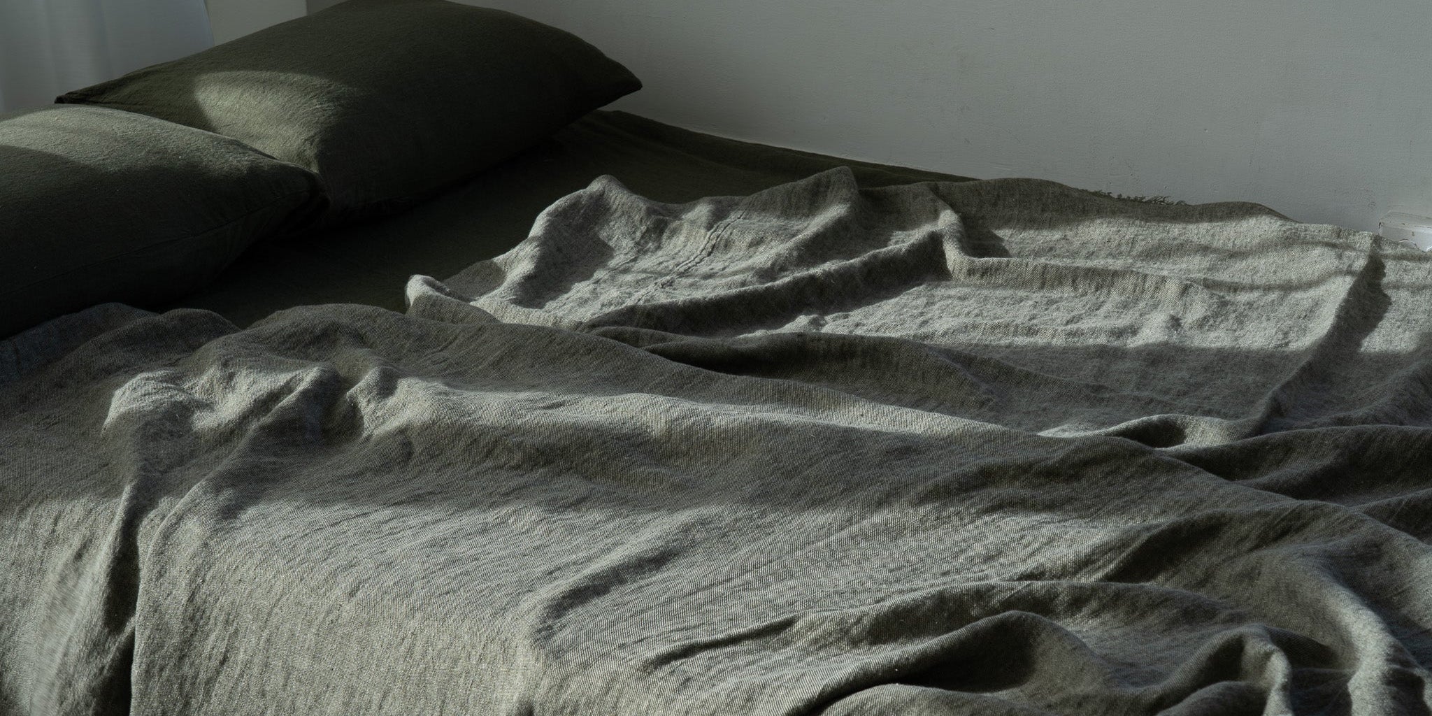 The Living Light of Olive