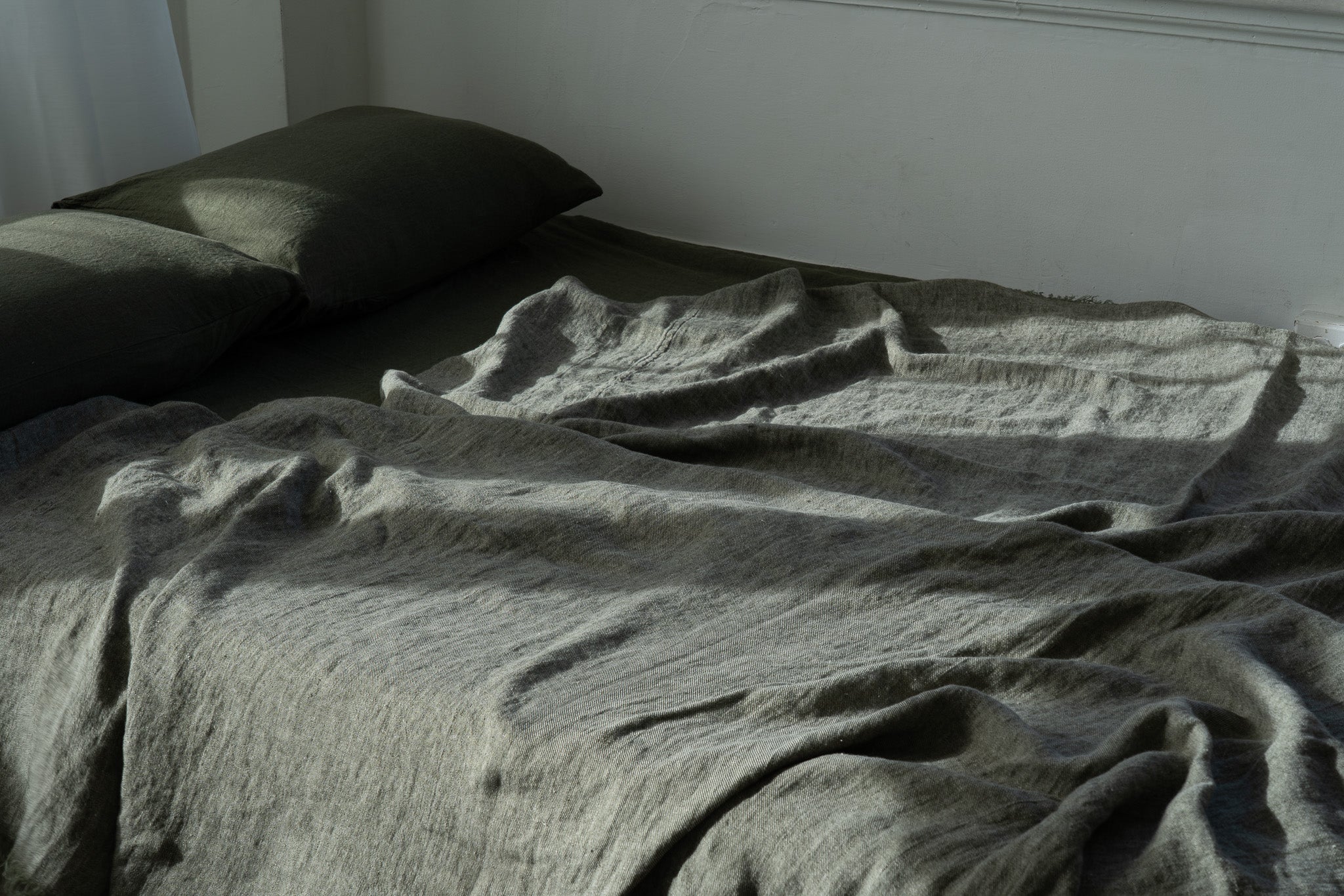 The Living Light of Olive