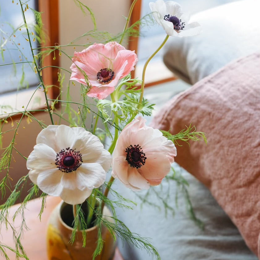 What Touches Your Skin Matters: A Guide to Sustainable Fabrics at Sömn