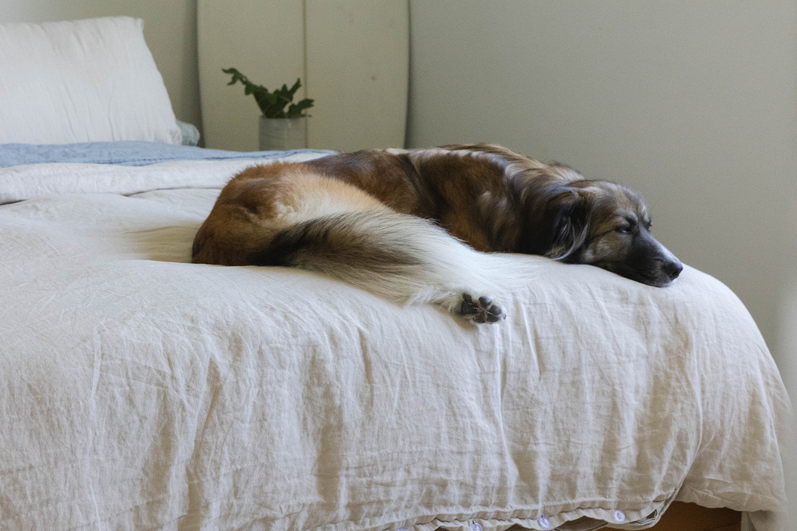 Not Every Holiday Moment Feels Magical — And That’s Okay