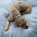 Sömn Home | Harper Bedspread